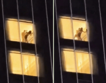 【某某門事件】海城希爾頓酒店 男女落地窗前啪啪 被樓下吃瓜群眾偷錄下來！4