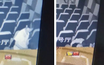 看電影兼打炮 現在女孩都這麼主動了嗎，舌吻，坐騎