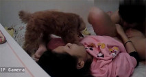 【最新流出破解攝像頭】年輕情侶73分鐘2次性愛啪 漂亮女主多次高潮 超近距離 小狗也想參戰?